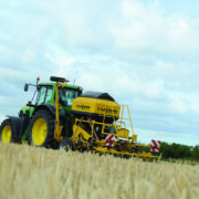 Rape revival continues as crop returns to favour