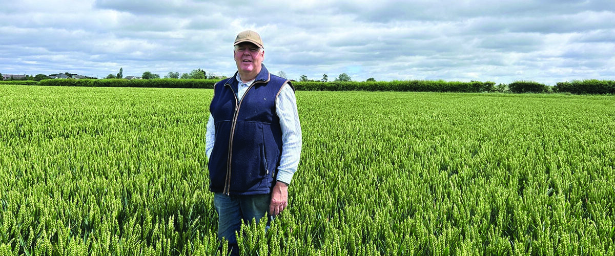 Old favourite continues to deliver for premium wheat growers