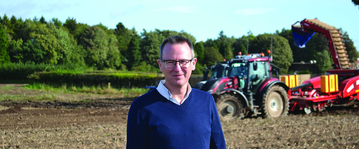 Water security ‘key to Britain’s potato future’