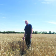 New wheat variety could replace old favourites