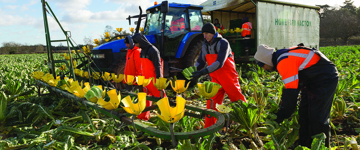 Suffolk farm joins LEAF network