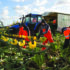 Suffolk farm joins LEAF network
