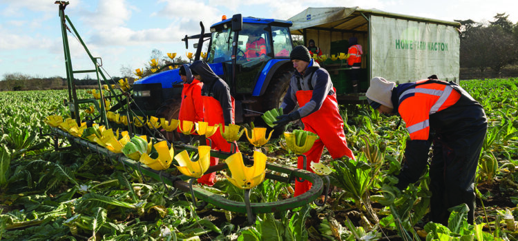 Suffolk farm joins LEAF network