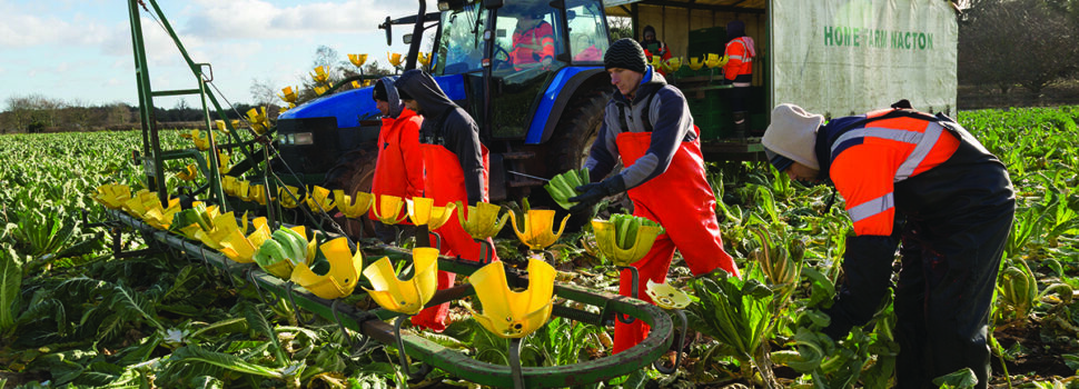 Suffolk farm joins LEAF network