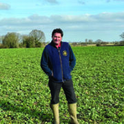 ‘Focus on fundamentals’ as oilseed rape revival continues to grow