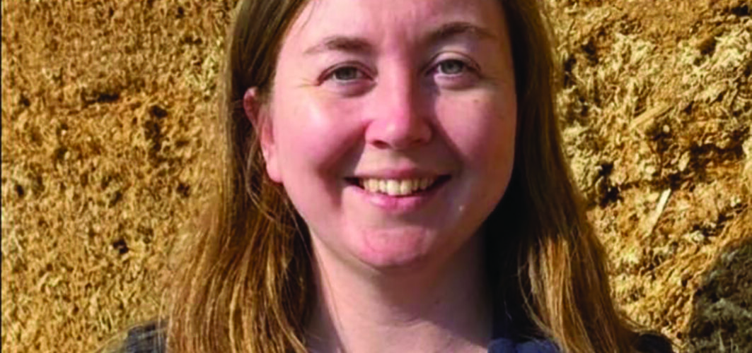 Cereal crops offer flexibility on winter feed