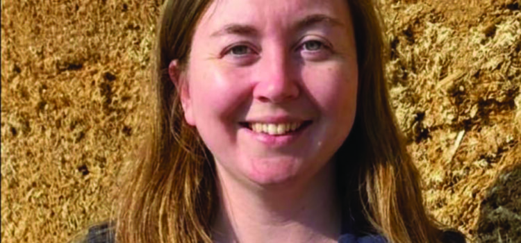 Cereal crops offer flexibility on winter feed