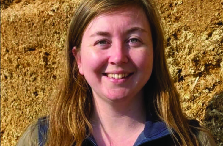 Cereal crops offer flexibility on winter feed