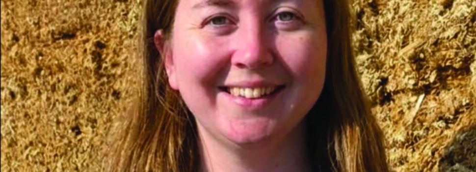Cereal crops offer flexibility on winter feed