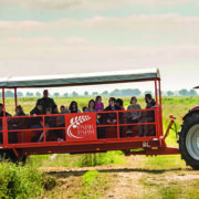 Royal recognition for farmer’s open days