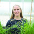 Rothamsted scientists reinforce herbicide resistance strategy