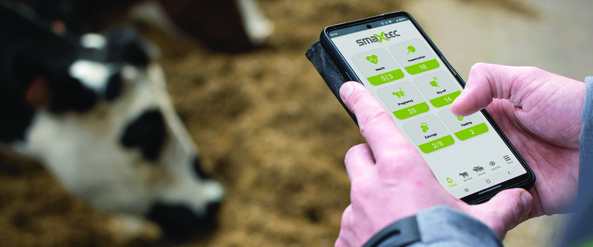 Early disease detection ‘lifeline’ for dairy farms