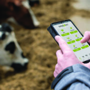 Early disease detection ‘lifeline’ for dairy farms