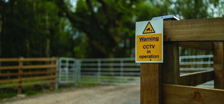 Farm theft falls – but vigilance still needed