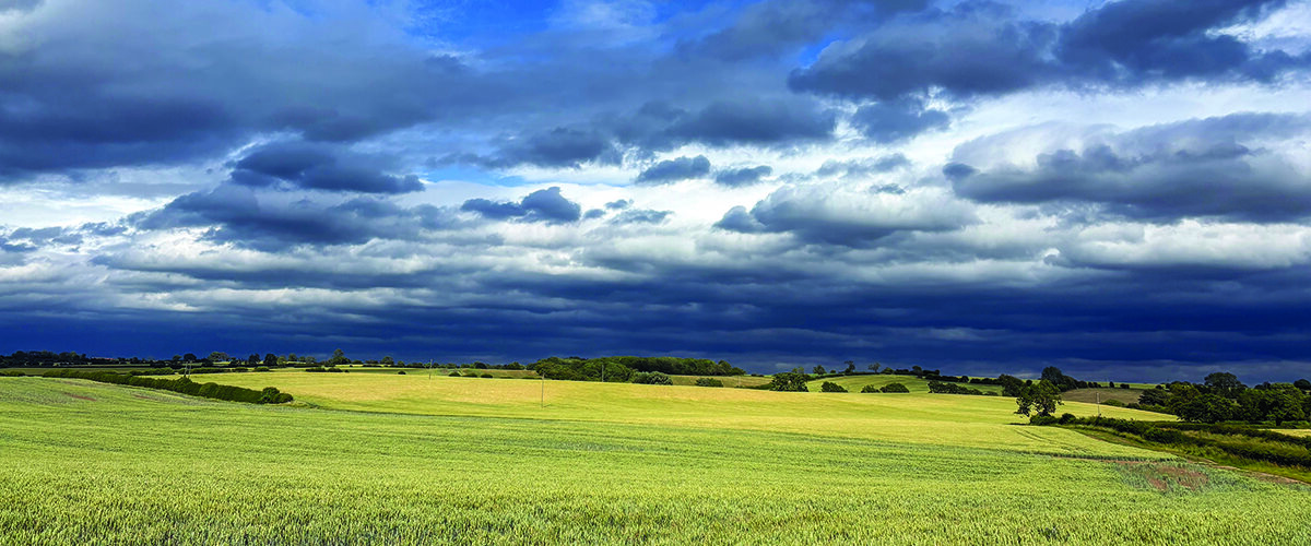 £10m guide price for Cambridgeshire farm
