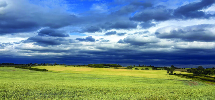 £10m guide price for Cambridgeshire farm