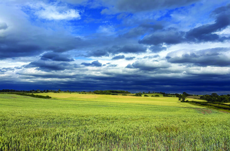 £10m guide price for Cambridgeshire farm