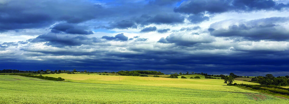 £10m guide price for Cambridgeshire farm