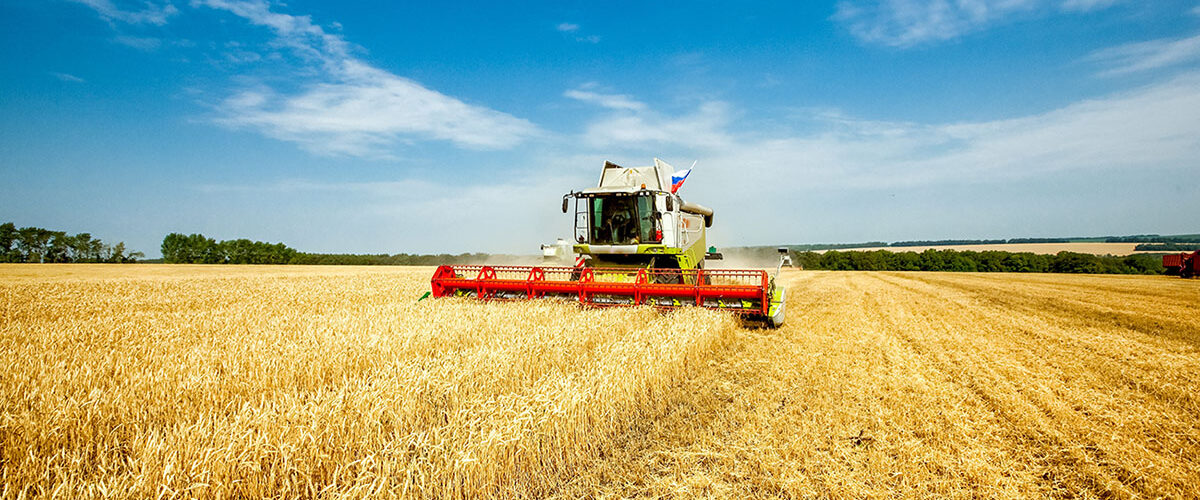 Heatwaves create harvest lottery as combinable yields diverge