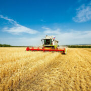 Heatwaves create harvest lottery as combinable yields diverge