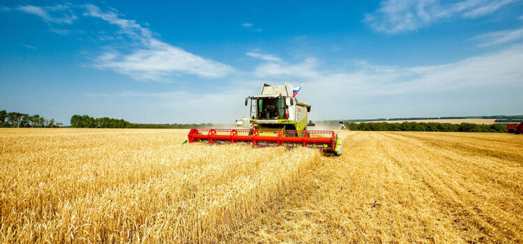 Heatwaves create harvest lottery as combinable yields diverge