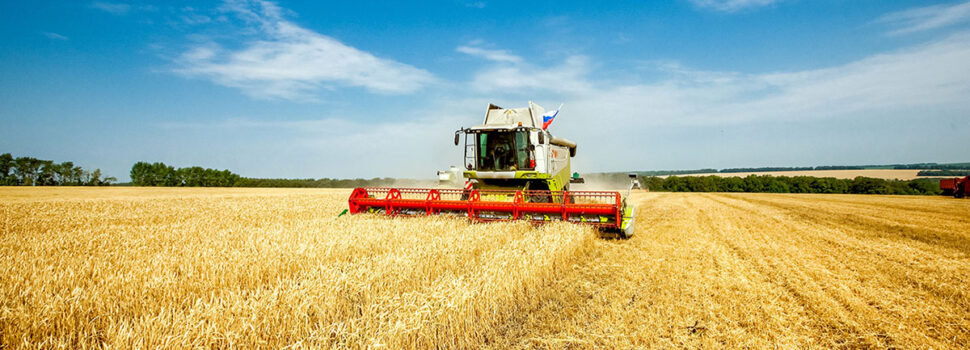 Heatwaves create harvest lottery as combinable yields diverge