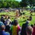 APF brings forestry trade to Ragley Estate