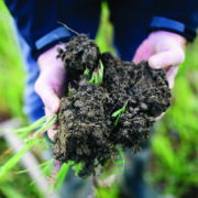 Soil health reshapes land values