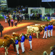 UK Dairy Day gears up for bumper event