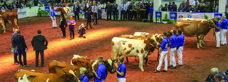 UK Dairy Day gears up for bumper event