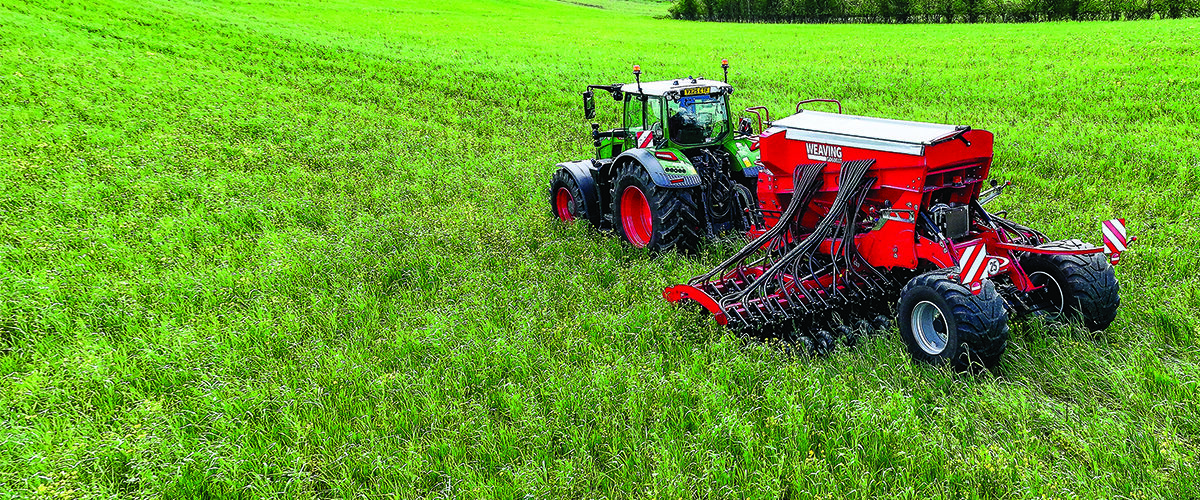 Advice for successful establishment this autumn