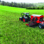 Advice for successful establishment this autumn