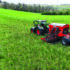 Advice for successful establishment this autumn