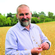 Herbicide resistance calls for earlier weed control