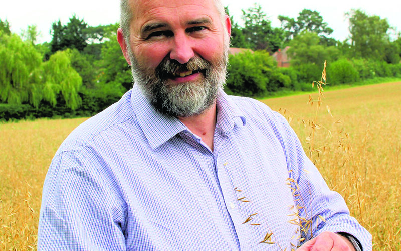 Herbicide resistance calls for earlier weed control