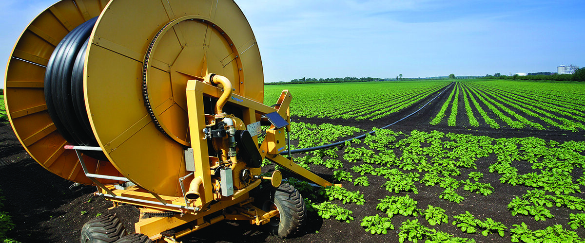 Water security vital for agri future