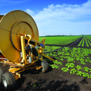Water security vital for agri future