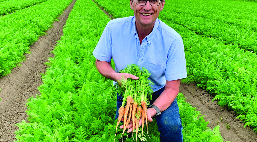 Carrot growers come together for demo day