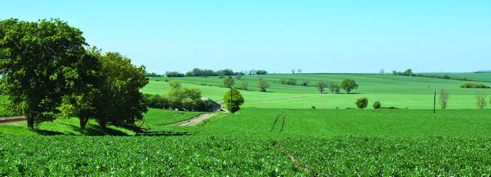 Farm tenancy terms shrink amid market uncertainty