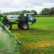 Rape revival puts grassweed control back in focus