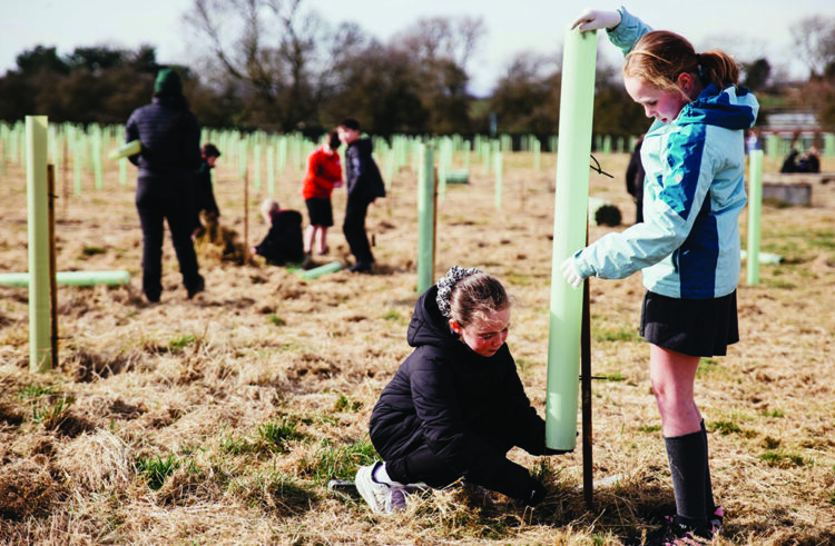 Trees for Climate expands woodland partnership