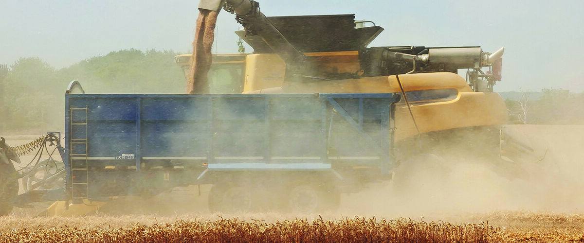 Harvest latest: Losses could reach £390m