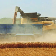 Harvest latest: Losses could reach £390m