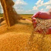 Yield maps help improve poor performing fields