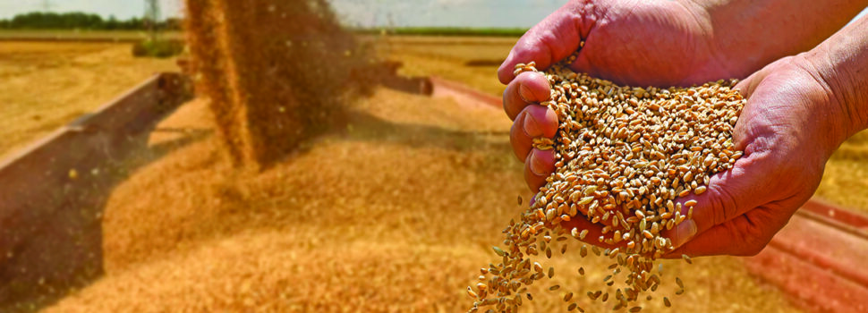 Yield maps help improve poor performing fields