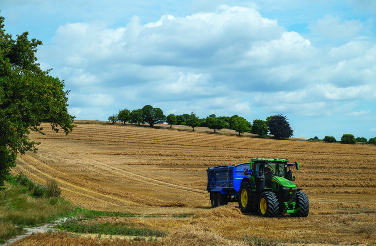 Late blight risk threatens potato crops as rain returns