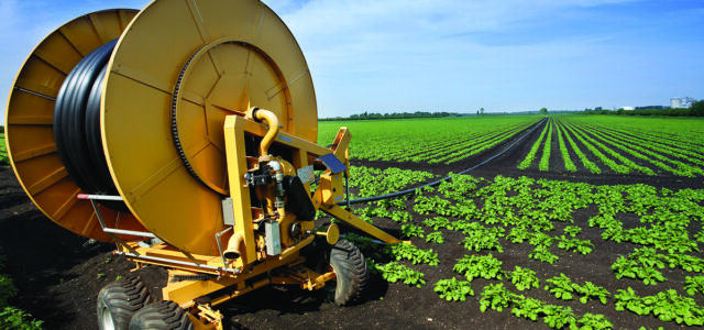 Time to rethink potato irrigation strategy