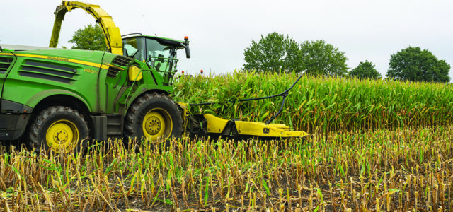 Volatility offers grain sellers opportunities