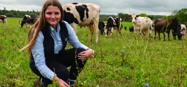 ForFarmers widens search for feed industry talent