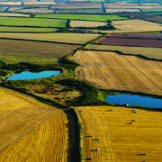 Growers demand water policy overhaul